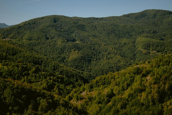 Top 5 peluches à essayer : avis sur l'univers peluche