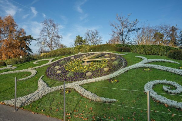 Créez un jardin spectaculaire avec ces conseils pratiques